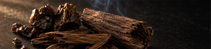 Royal Oudh